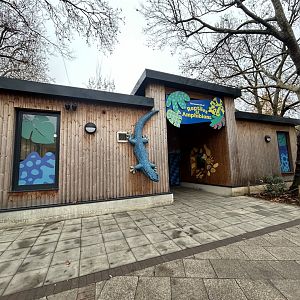 The Secret Life of Reptiles & Amphibians