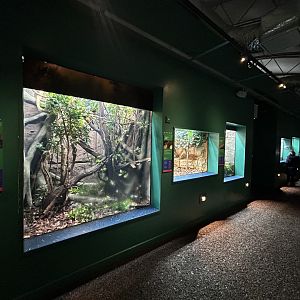 Overview - The Secret Life of Reptiles & Amphibians