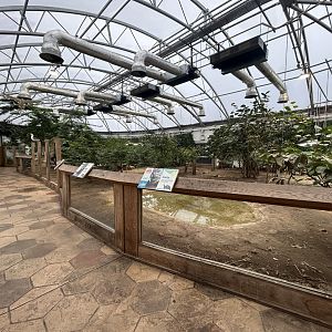 Galapagos Tortoise Exhibit