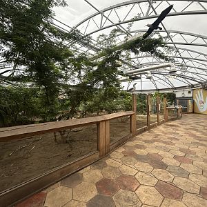 Galapagos Tortoise Exhibit
