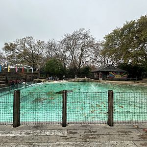 Humboldt Penguin Exhibit