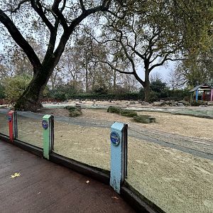 Humboldt Penguin Exhibit