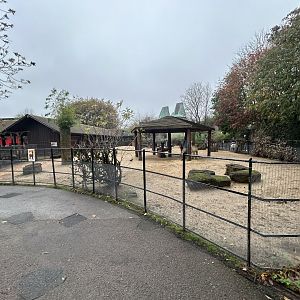 Llama & Alpaca Exhibit