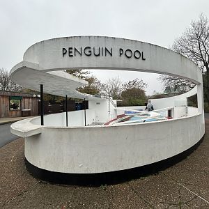 Lubetkin Penguin Pool