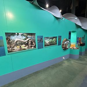 Overview - Tiny Giants