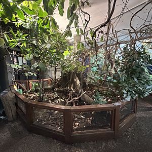 Spider Walkthrough Exhibit - Tiny Giants