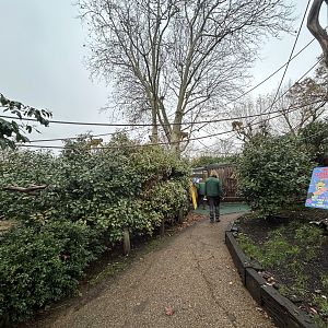 Squirrel Monkey Walkthrough Exhibit