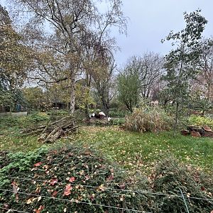 Greater Flamingo Exhibit