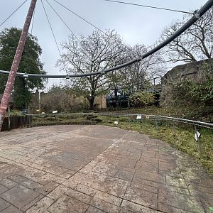 Lion Exhibit - Land of the Lions