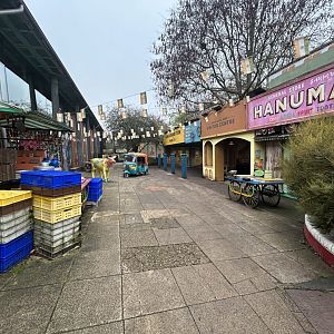 Plaza - Land of the Lions