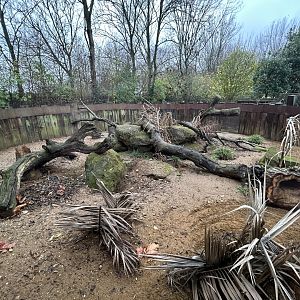 Meerkat Exhibit