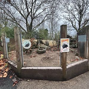 Cape Porcupine Exhibit