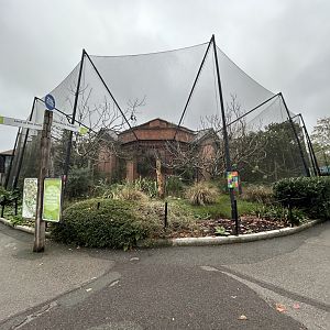 Tropical Bird Aviaries - Blackburn Pavilion