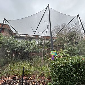 Wrinkled Hornbill Aviary - Blackburn Pavilion