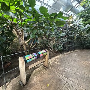Tropical Bird Walkthrough - Blackburn Pavillon