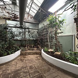 Tropical Bird Walkthrough - Blackburn Pavillon