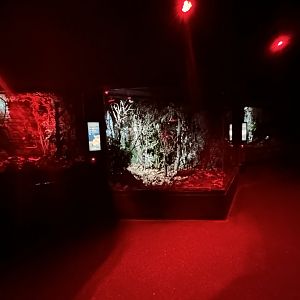 Overview - Night Life