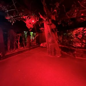 Overview - Night Life