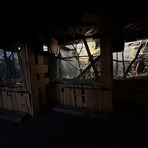 Indoor Ring-tailed Lemur Exhibit - Rainforest Life