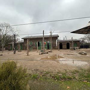 Giraffe, Zebra & Ostrich Exhibit