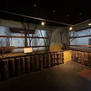 Indoor Ostrich Exhibit