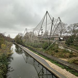 Colobus Monkey Walkthrough Exhibit (Snowden Aviary)