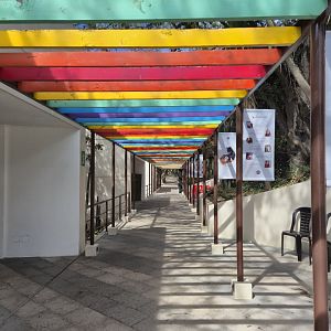 Colour tunnel leading to Spectacled Bear viewing platform