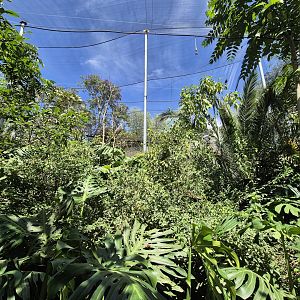 Walktrough Butterfly/Owl Aviary