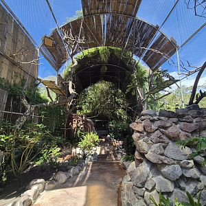 Walktrough Macaw/ Toucan Aviary