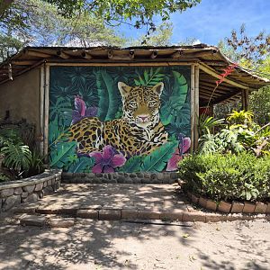 Small Carnivore exhibit