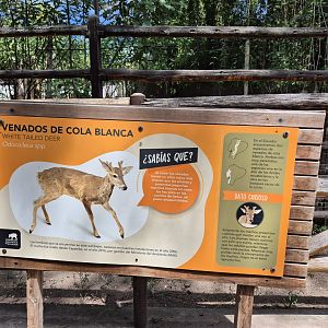 Peruvian White-tailed Deer sign