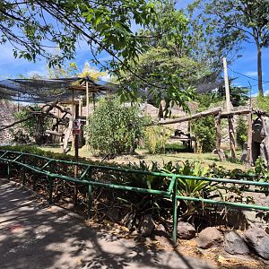 Spectacled Bear exhibit