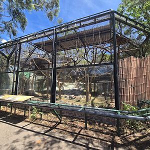 Woolly monkey exhibit