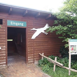Entrance hide for the European white stork reserve and barn for Abdim's and Black storks, 2025-05-22