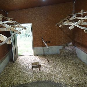 Indoor exhibit for Abdim's and Black storks, 2025-05-22