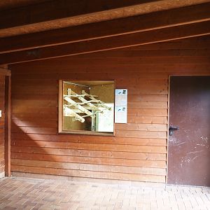 Viewing window into indoor exhibit for Abdim's and Black storks, 2025-05-22