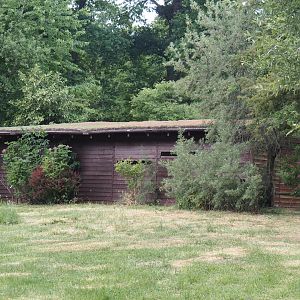 Entrance hide for the European white stork reserve and barn for Abdim's and Black storks, 2025-05-22