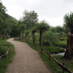European white stork reserve (Walk-through), 2025-05-22