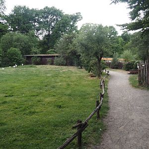 European white stork reserve (Walk-through), 2025-05-22