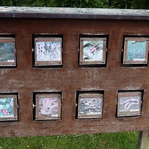 Stork diet signage, 2025-05-22