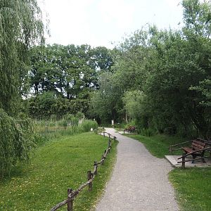 European white stork reserve (Walk-through), 2025-05-22
