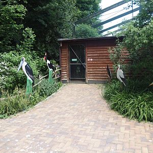 Entrance to Abdim's stork and Black stork aviary viewing area, wit life-sized cut-outs of different stork species, 2025-05-22