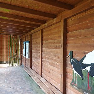 Abdim's stork and Black stork aviary viewing area, 2025-05-22