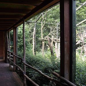 Abdim's stork and Black stork aviary viewing area, 2025-05-22