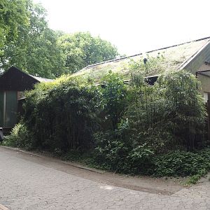 Bird house, 2025-05-22