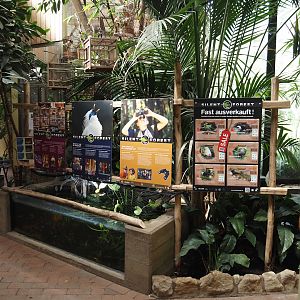 Boeseman's rainbowfish, Panda garra and Amano shrimp tank and Silent Forest campaign signage in the bird house, 2025-05-22