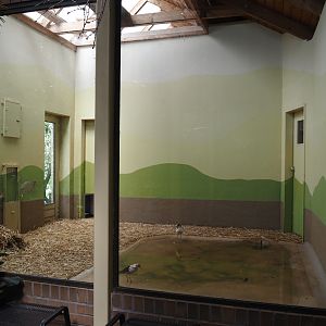 Indoor aviary for European wading birds, 2025-05-22