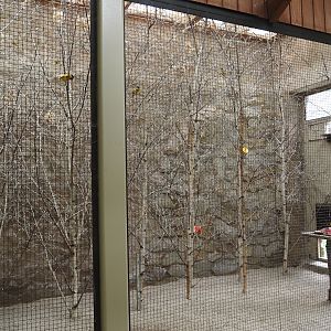 Indoor aviary for Village weavers and Spotted dikkop, 2025-05-22