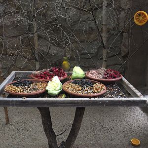 Buffet for village weavers, 2025-05-22