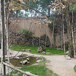 Walk-through aviary for Village weaver and Spotted dikkop, 2025-05-22